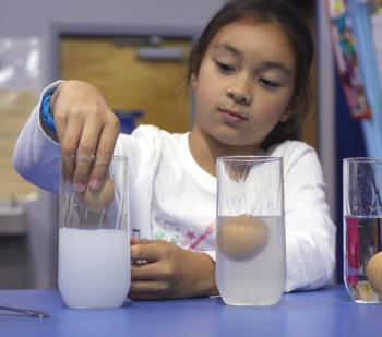 Vanessa Albert tries to make her egg float at a Seeds of Knowledge science camp. Courtesy of Seeds of Knowledge