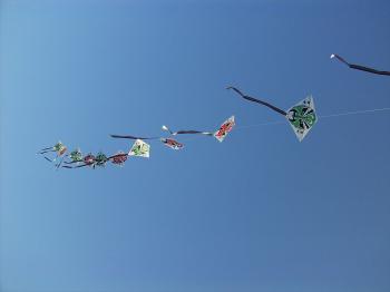 Kite. Photo by Andrew Lin