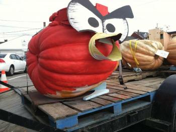 Angry Bird pumpkin from Damariscotta's 2012 Pumpkinfest. KIPP WRIGHT/Boothbay Register