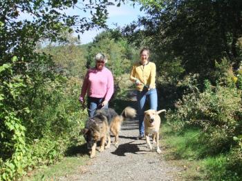 Tucker and Bella are big fans of Penny Lake Preserve. Their humans made donations on their behalf for Boothbay Region Land Trust’s Stewardship Campaign. The money raised through the campaign will sustain the land trust’s trails and other community resources. Courtesy of BRLT  