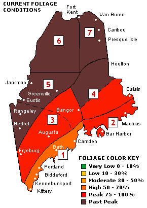 Current foliage conditions in Maine. Courtesy of the Maine Office of Tourism