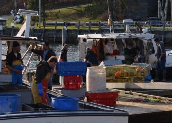 rockport lobster boats maine