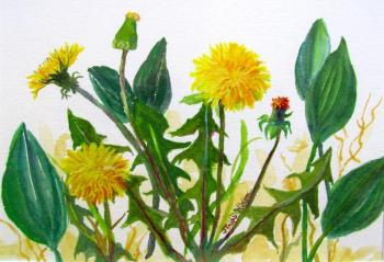 Judy Nixon of Damariscotta ME, “Dandelions” 