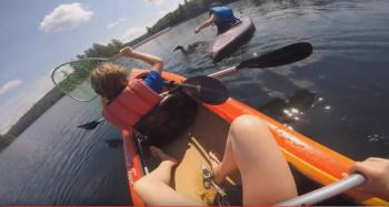 Common loon, rescue, Maine, lake, GoPro