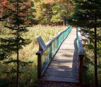 Penny Lake Preserve