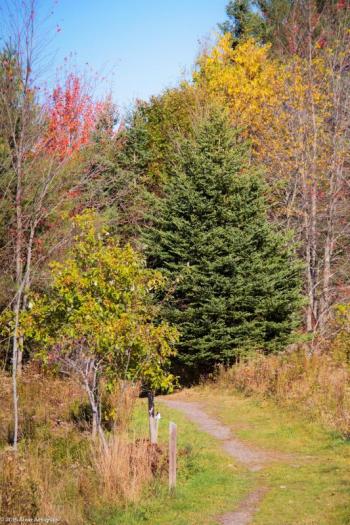 Penny Lake Preserve