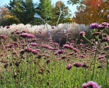 Coastal Maine Botanical Gardens