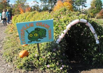 The Great Pumpkin Hunt at Coastal Maine Botanical Gardens Oct. 20.