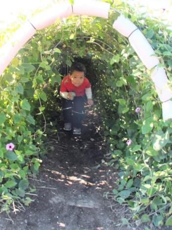 The Great Pumpkin Hunt at Coastal Maine Botanical Gardens Oct. 20.