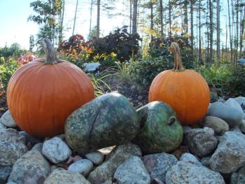 Coastal Maine Botanical Gardens