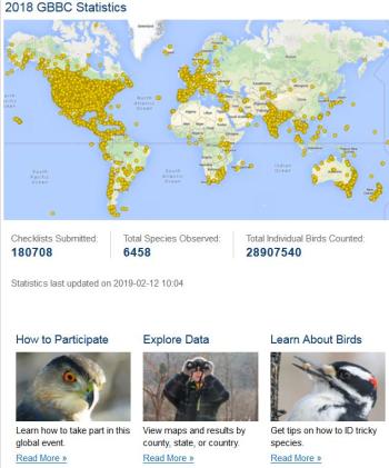 Great Backyard Bird Count