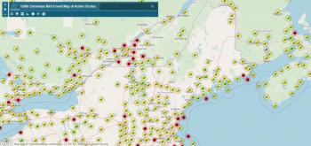 Christmas Bird Counts, Maine, birds