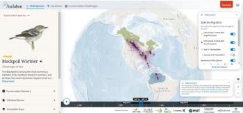 #bird-column, #Jeff and Allison Wells, #boothbay register, #birds, #maine, #bird migration explorer, #national audubon, #blackpoll warbler