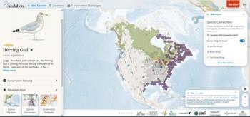 #bird-column, #Jeff and Allison Wells, #boothbay register, #birds, #maine, #bird migration explorer, #national audubon, #herring gull