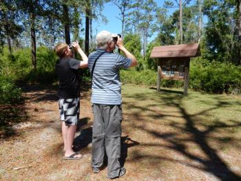 #bird-column, #birds, #maine, #boothbay register, #jeff and allison wells, #bates college, #bowdoin college, #fish crows, #rugby