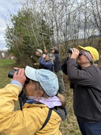 #bird-column, #boothbay register, #perham stream birding trail, #natural resources council of maine, #jeff and allison wells, #birds, #maine, #high peaks alliance, #birders