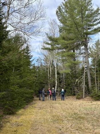 #bird-column, #boothbay register, #perham stream birding trail, #natural resources council of maine, #jeff and allison wells, #birds, #maine, #high peaks alliance