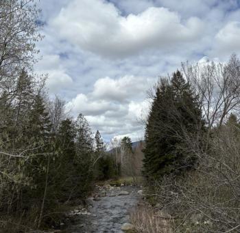 #bird-column, #boothbay register, #perham stream birding trail, #natural resources council of maine, #jeff and allison wells, #birds, #maine, #high peaks alliance