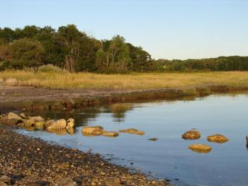 #bird-column, #birds, #jeff and allison wells, #maine, #boothbay register, #black-bellied plover, #wharton point