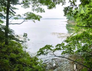 Looking out into Broad Cove. PHIL DI VECE/Wiscasset Newspaper 