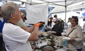 Serving oysters. 