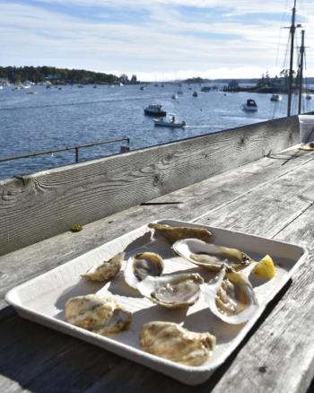 Serving oysters. 