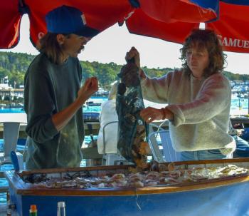 Serving oysters. 