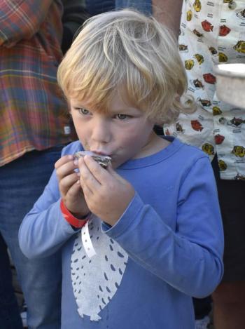 A boy eats an oyster. 