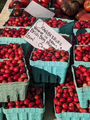 Boothbay Farmer's Market. CANDI JONETH/Boothbay Register