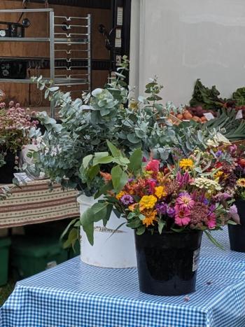 Boothbay Farmer's Market