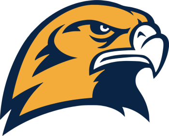 Seahawk logo