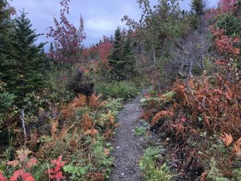 Nature trail