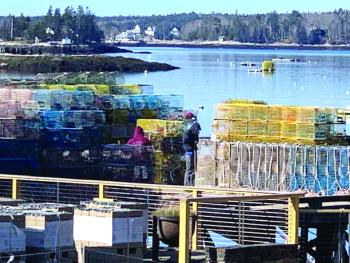 lobster traps