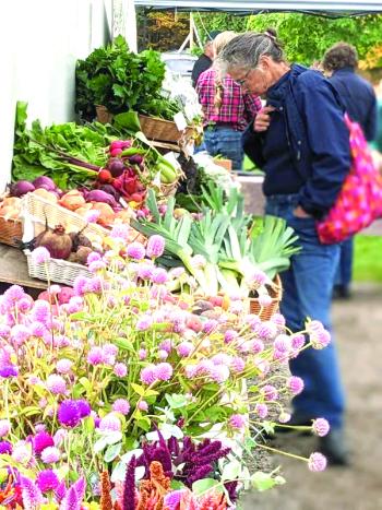 Boothbay Farmer's Market