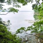 Looking out into Broad Cove. PHIL DI VECE/Wiscasset Newspaper 