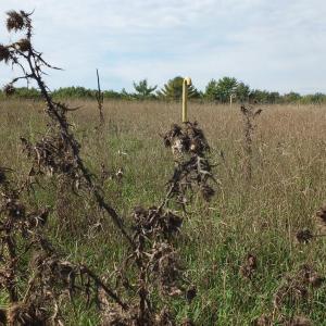 The Woolwich landfill needs ongoing maintenance. JOHN MAGUIRE/Wiscasset Newspaper