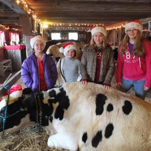 4-H Club members pose behind Navy, who is very close to birthing or her fifth calf. The 4-H Club put a lot of effort into a holiday fundraiser this past weekend, December 8-9. From left are Caitlyn Spear, Nicole Jewett, Lily Souza and Saoirse Bogart.