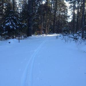 The School House Pond Trail on Barter's Island is a perfect spot for a quick winter ski. SUE MELLO/Boothbay Register