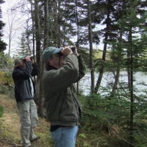 BRLT Wayfarers will learn how to see things on trail that an ordinary hiker might miss. Courtesy of Boothbay Region Land Trust