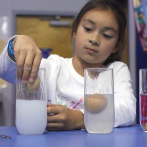 Vanessa Albert tries to make her egg float at a Seeds of Knowledge science camp. Courtesy of Seeds of Knowledge