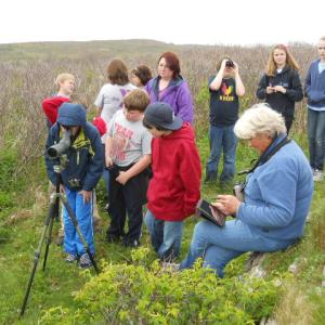 Birder Nancy Bither, seated, plays bird calls on her iPad for students, as Will Perkins sights seabird nests through her telescope. Other students wait their turn while Jack Buthy uses binoculars to observe other birds migrating via Damariscove Island. Courtesy of Rita Arnold