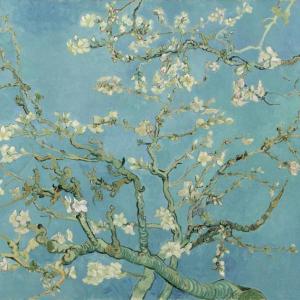 “Almond Blossom,” 1890 -Vincent van Gogh