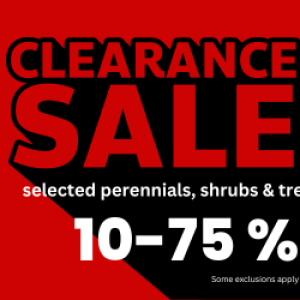 Fall Clearance Sale