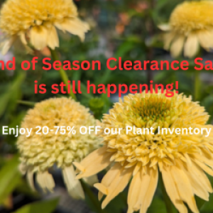 End of Season Clearance Sale