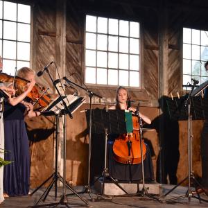 Halcyon String Quartet