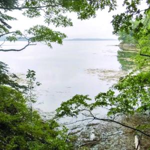 Looking out into Broad Cove. PHIL DI VECE/Wiscasset Newspaper 