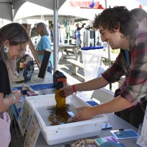 A booth at the festival. 