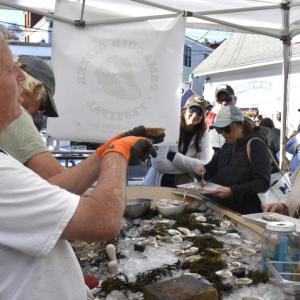 Serving oysters. 