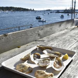 Serving oysters. 