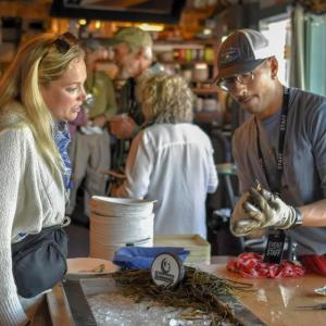 Serving oysters. 